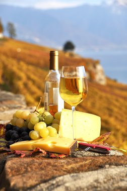 Wine, grapes and chesse on the terrace vineyard in Lavaux region clipart