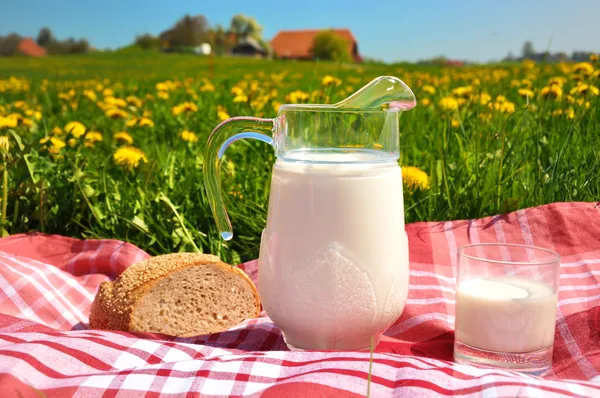 Jug of milk and bread on the spring meadow. Emmental region, Swi — Stock Photo, Image