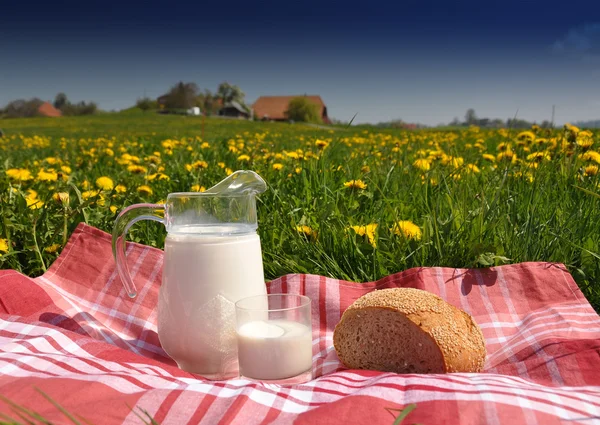 春の牧草地にパンとミルク水差し。swi エメンタール地方 — ストック写真