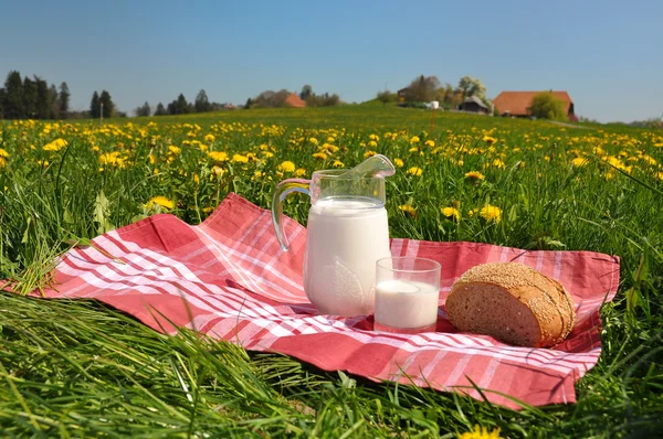 Jarra de leche y pan en el prado de primavera. Región emmental, Swi —  Fotos de Stock