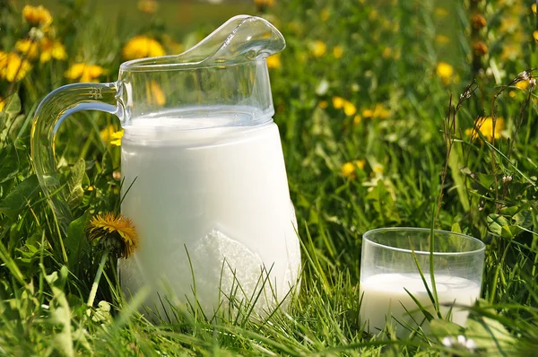 Stock Photo: Jug of milk on the meadow — Stock Photo, Image