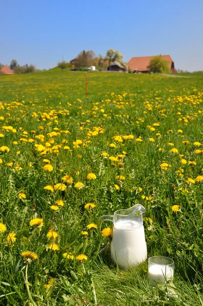 Una jarra de leche en el prado. Región emmental, Suiza — Foto de Stock