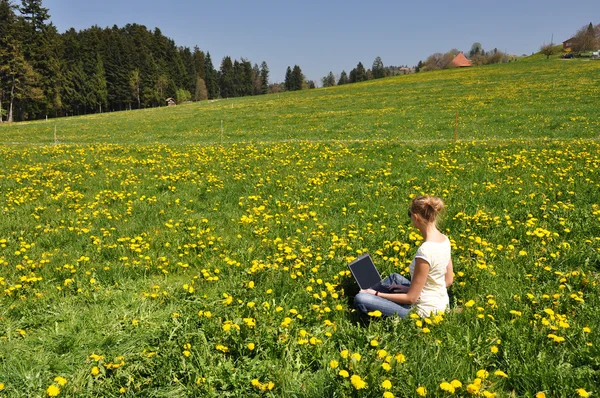 Chica con un portátil en el prado — Foto de Stock