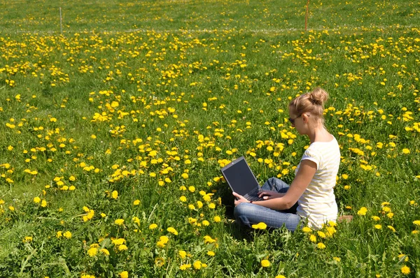 stock image Girl with a laptop on the spring meadow