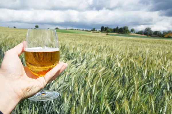 Glas öl i handen mot korn öron — Stockfoto