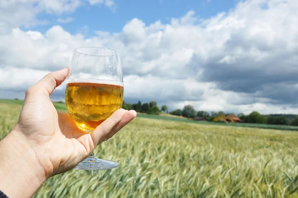 Un vaso de cerveza en la mano contra las orejas de cebada —  Fotos de Stock