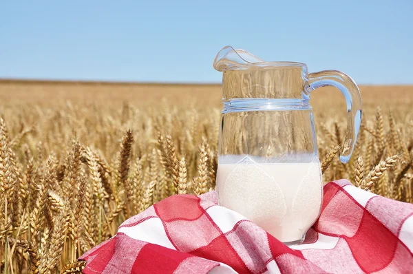 Jug of milk against wheat field — Stock Photo, Image