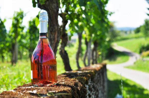 Bottle of champagne against vineyards — Stock Photo, Image
