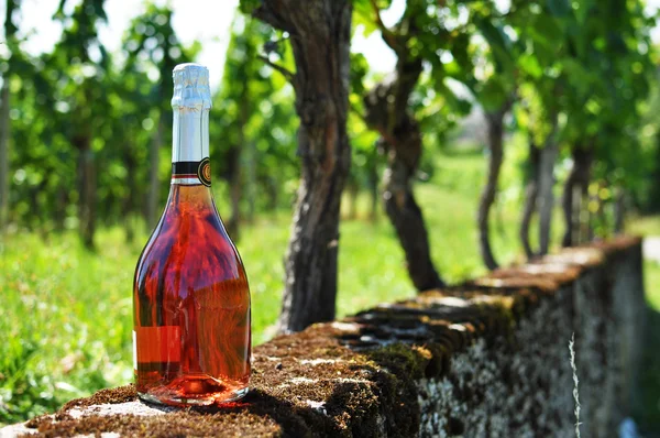 Bottle of champagne against vineyards — Stock Photo, Image