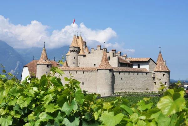 Chateau d'aigle, Schweiz — Stockfoto