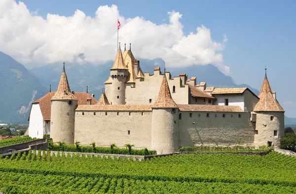 Chateau d'aigle, İsviçre地中海サラダ、大きな黒オリーブ、羊のチーズ — Stok fotoğraf