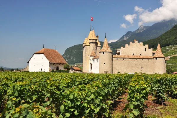 Chateau d 'Aigle, Sveitsi — kuvapankkivalokuva