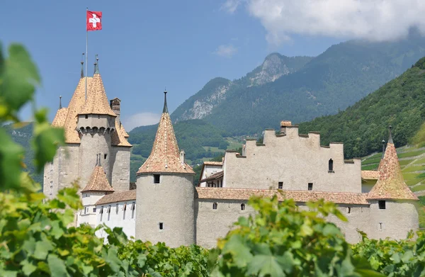 Chateau d'aigle bland vingårdarna. Schweiz — Stockfoto