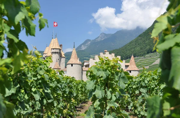 Chateau d'aigle szőlők között. Svájc — Stock Fotó