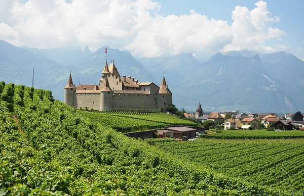 Zámek d'aigle mezi vinicemi. Švýcarsko — Stock fotografie