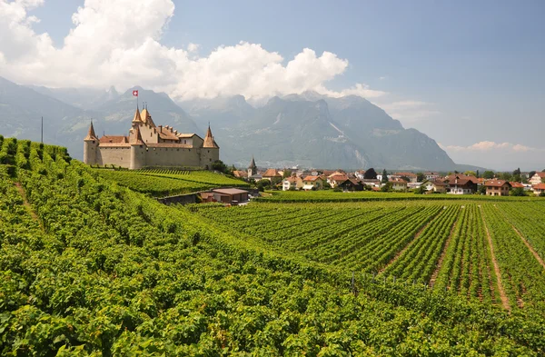 Chateau d'Aigle tra i vigneti. Svizzera — Foto Stock