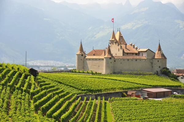 Chateau d 'aigle, Schweiz — Stockfoto