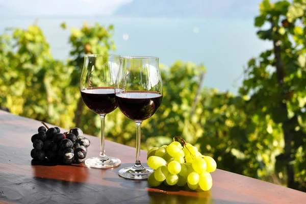 Red wine and grapes against vineyards in Lavaux region, Switzerl — Stock Photo, Image