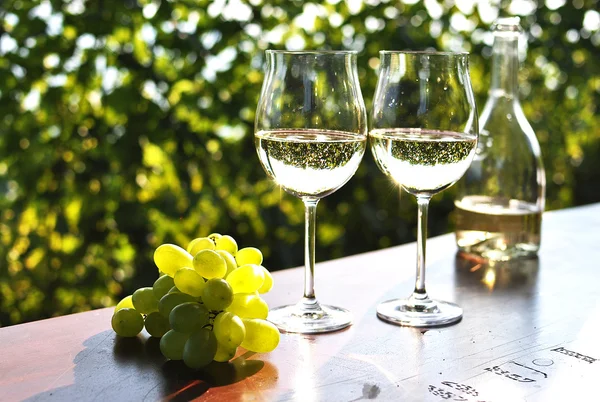 stock image Wine and grapes. Lavaux region, Switzerland