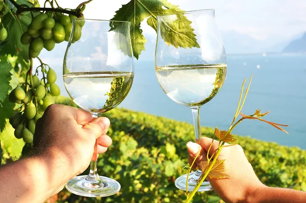 Two hands holding wineglases against vineyards in Lavaux region, — Stock Photo, Image
