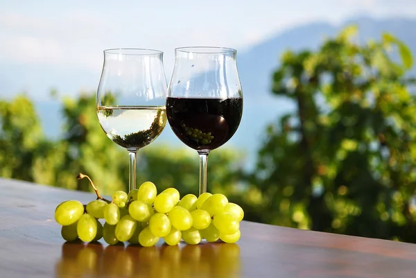 Vino y uvas. Región de Lavaux, Suiza — Foto de Stock