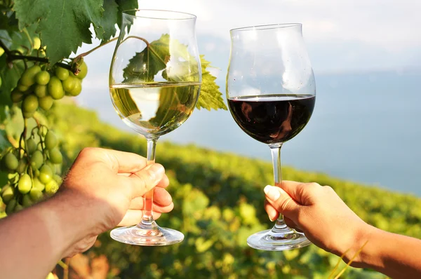Due mani che tengono gli occhiali da vino contro il lago di Ginevra. Regione di Lavaux — Foto Stock