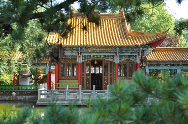 Chinese tuin in Zürich — Stockfoto