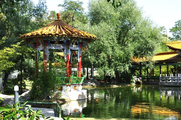 Kinesisk trädgård i Zürich — Stockfoto