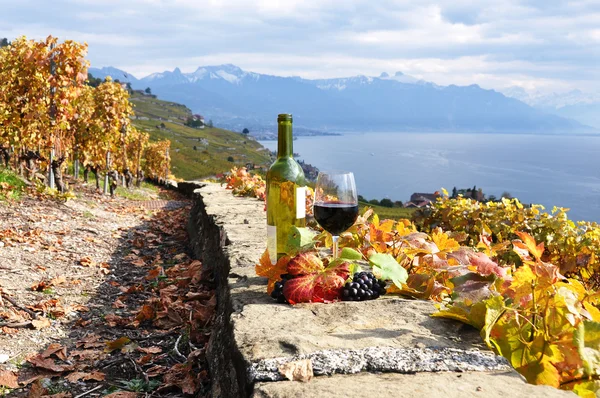 stock image Red wine and grapes on the terrace of vineyard in Lavaux region,