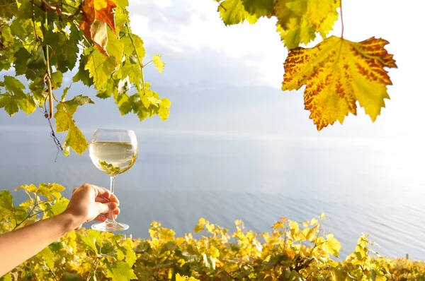 Wineglases in de hand tegen wijnbergen in lavaux-gebied, switz — Stockfoto