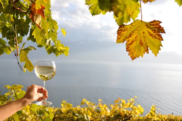 Wineglases in de hand tegen wijnbergen in lavaux-gebied, switz — Stockfoto