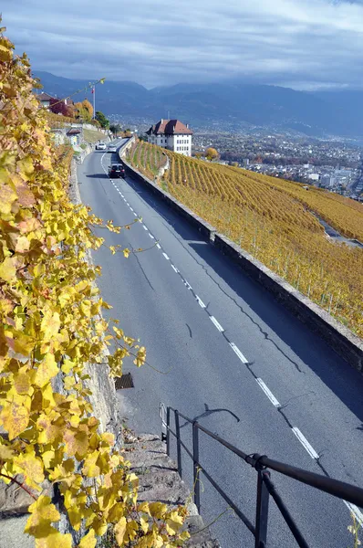 Road through the vineyards in Lavaux region, Switzerland — Stock Photo, Image