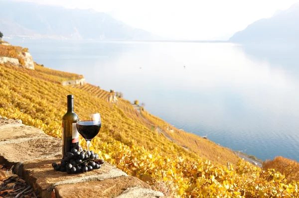 Rött vin och druvor på terrassen i vingården i lavaux region, — Stockfoto