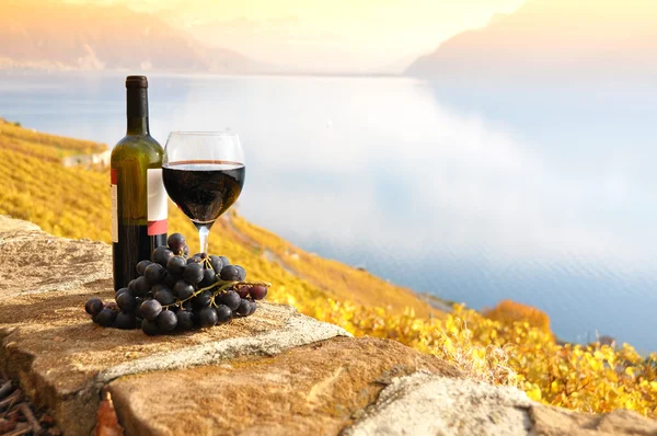 Vino y uvas contra el lago de Ginebra. Región de Lavaux, Suiza — Foto de Stock