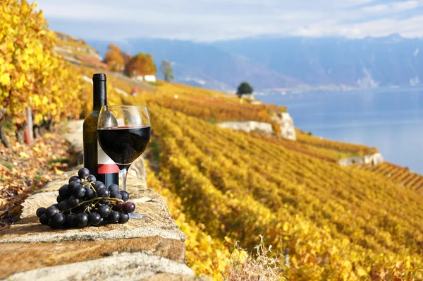 Červené víno a grapeson terasa vinic v regionu lavaux, swi — Stock fotografie