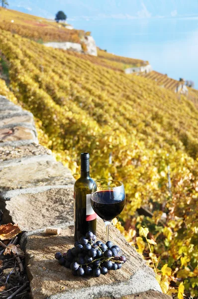 Rött vin och druvor på terrassen i vingården i lavaux region, — Stockfoto