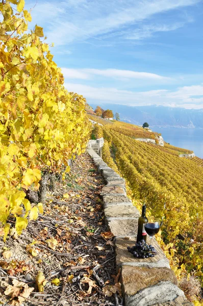 Red wine and grapes on the terrace of vineyard in Lavaux region, — Stock Photo, Image