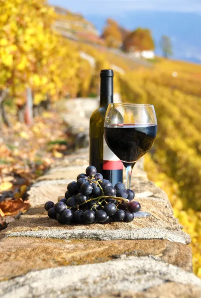 Rode wijn en druiven op het terras van de wijngaard in lavaux-gebied, — Stockfoto