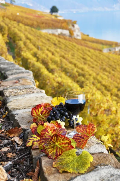 Sklenici červeného vína na terase vinic v regionu lavaux, swit — Stock fotografie