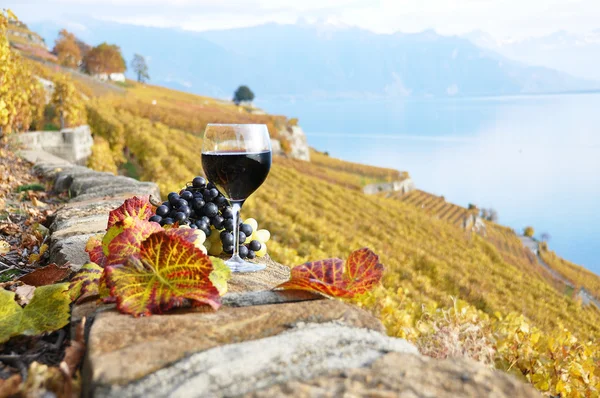 Glass of red wine on the terrace vineyard in Lavaux region, Swit — Stock Photo, Image
