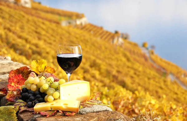 Κόκκινο κρασί, σταφύλια και τυριά με το αμπέλι βεράντα σε lavaux εκ νέου — Φωτογραφία Αρχείου
