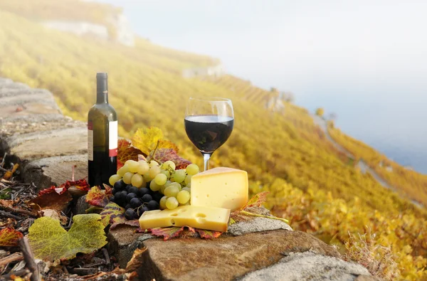 Vinho e uvas contra o lago de Genebra. Região de Lavaux, Suíça — Fotografia de Stock