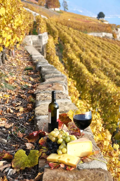 Červené víno a hrozny na terase vinic v regionu lavaux, — Stock fotografie