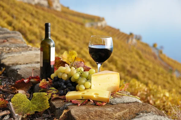 Rode wijn, kaas en druiven op het terras van de wijngaard in lavaux — Stockfoto