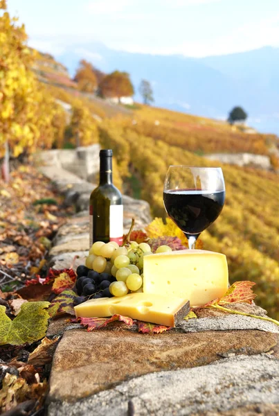 Wine, grapes and cheese against vineyards in Lavaux region, Swit — Stock Photo, Image