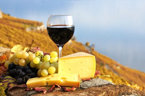stock image Red wine, grapes and chesse on the terrace vineyard in Lavaux re