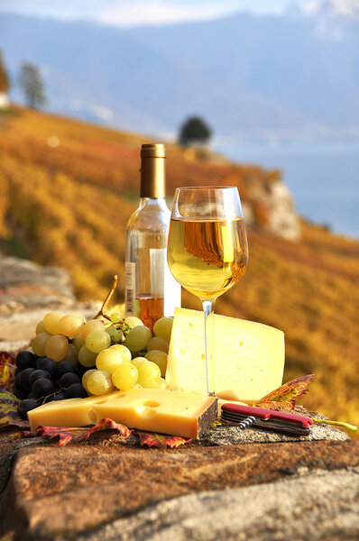 Wine, grapes and chesse on the terrace vineyard in Lavaux region