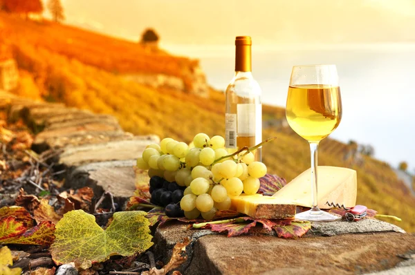 Vinho e uvas contra o lago de Genebra. Região de Lavaux, Suíça — Fotografia de Stock