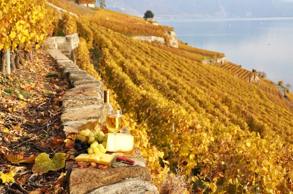 Wein und Trauben auf der Terrasse des Weinbergs in Lavaux, swi — Stockfoto