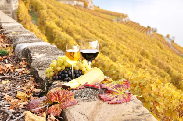 Wine and grapes on the terrace of vineyard in Lavaux region, Swi — Stock Photo, Image